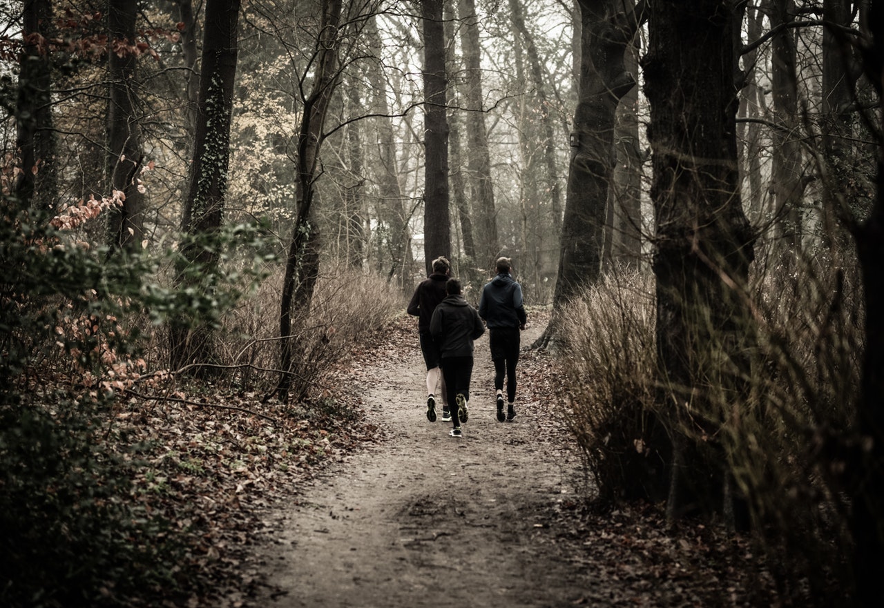 Tre som springer i skogen